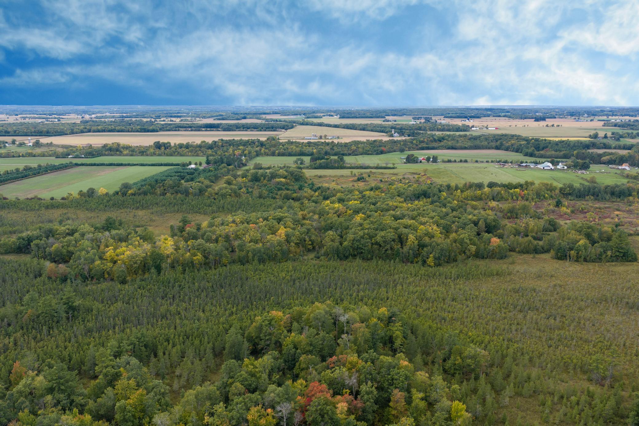 Brill-40-Acres-9.jpg