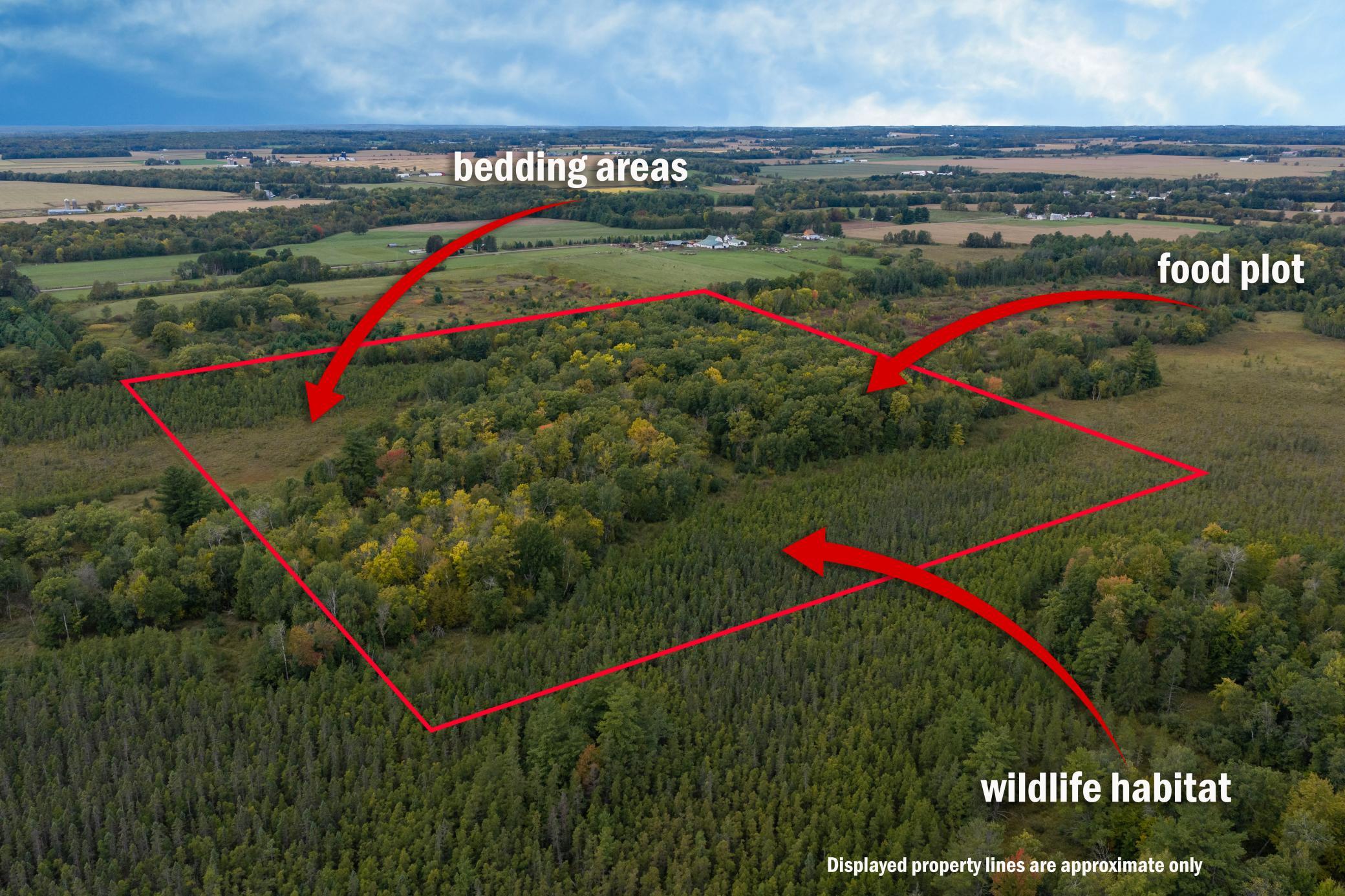 Brill-40-Acres-45.jpg