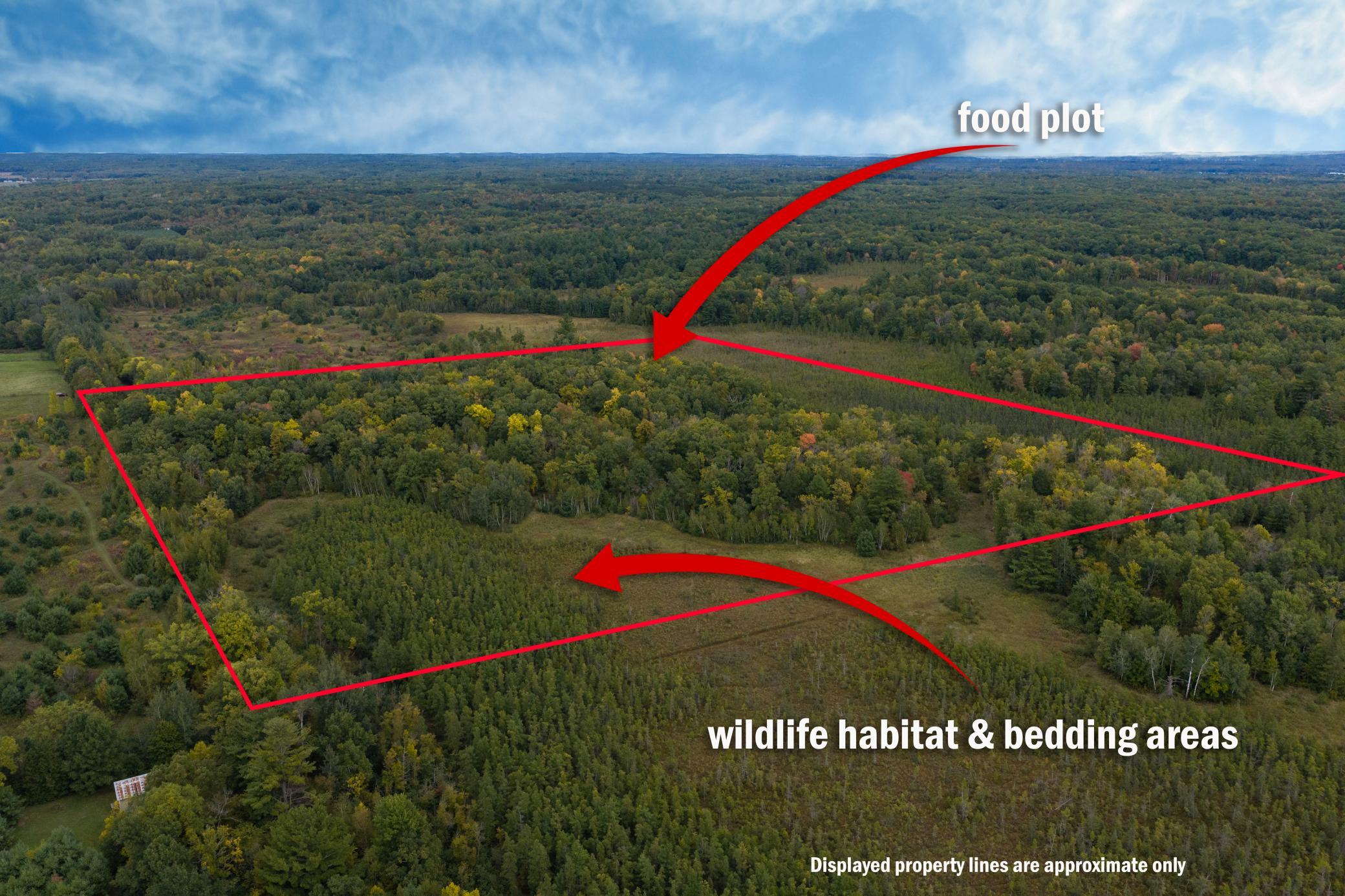 Brill-40-Acres-44.jpg
