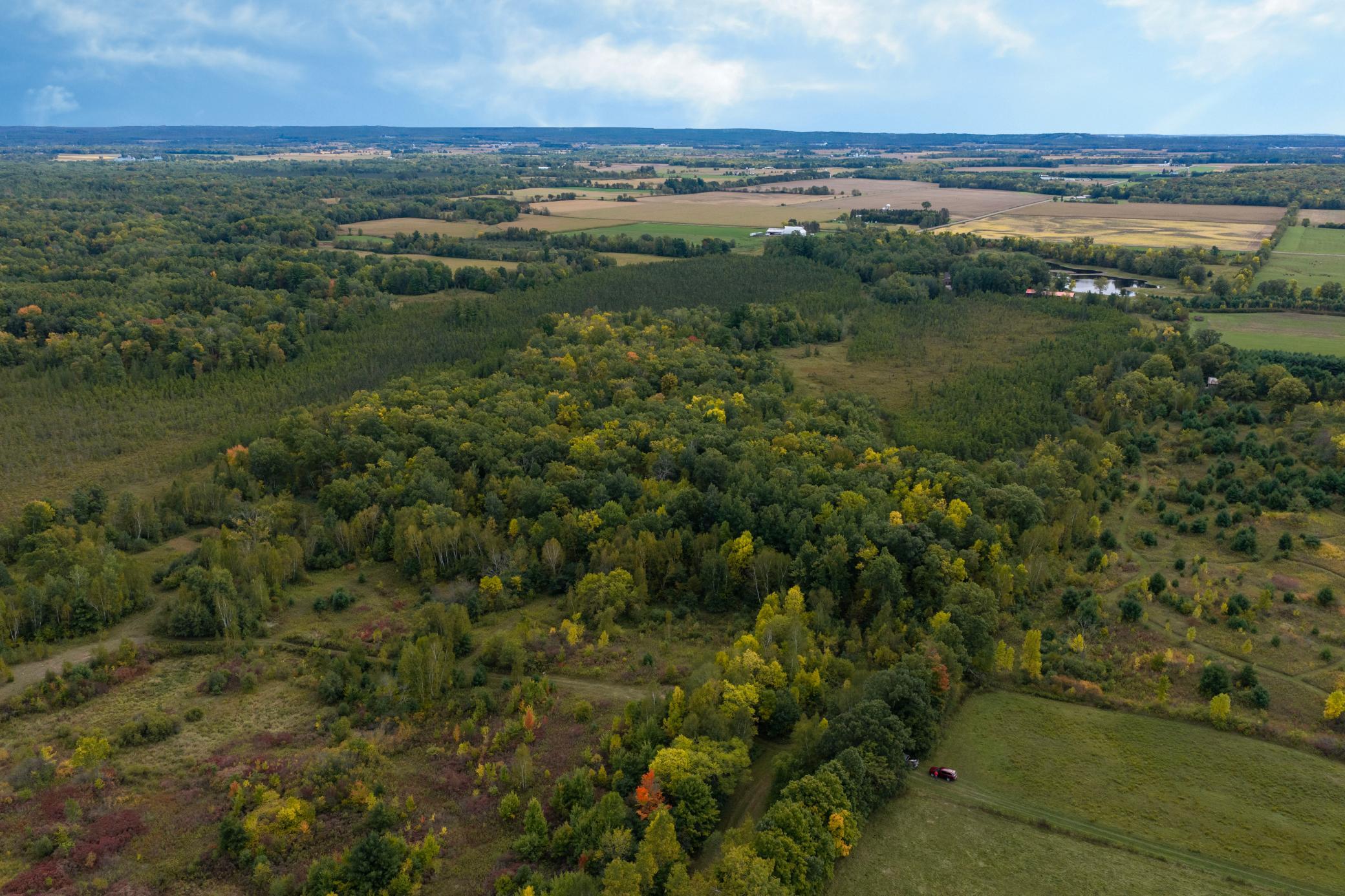 Brill-40-Acres-35.jpg