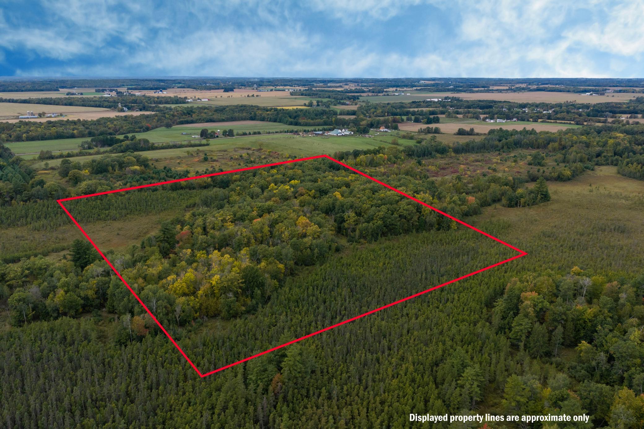Brill-40-Acres-41.jpg
