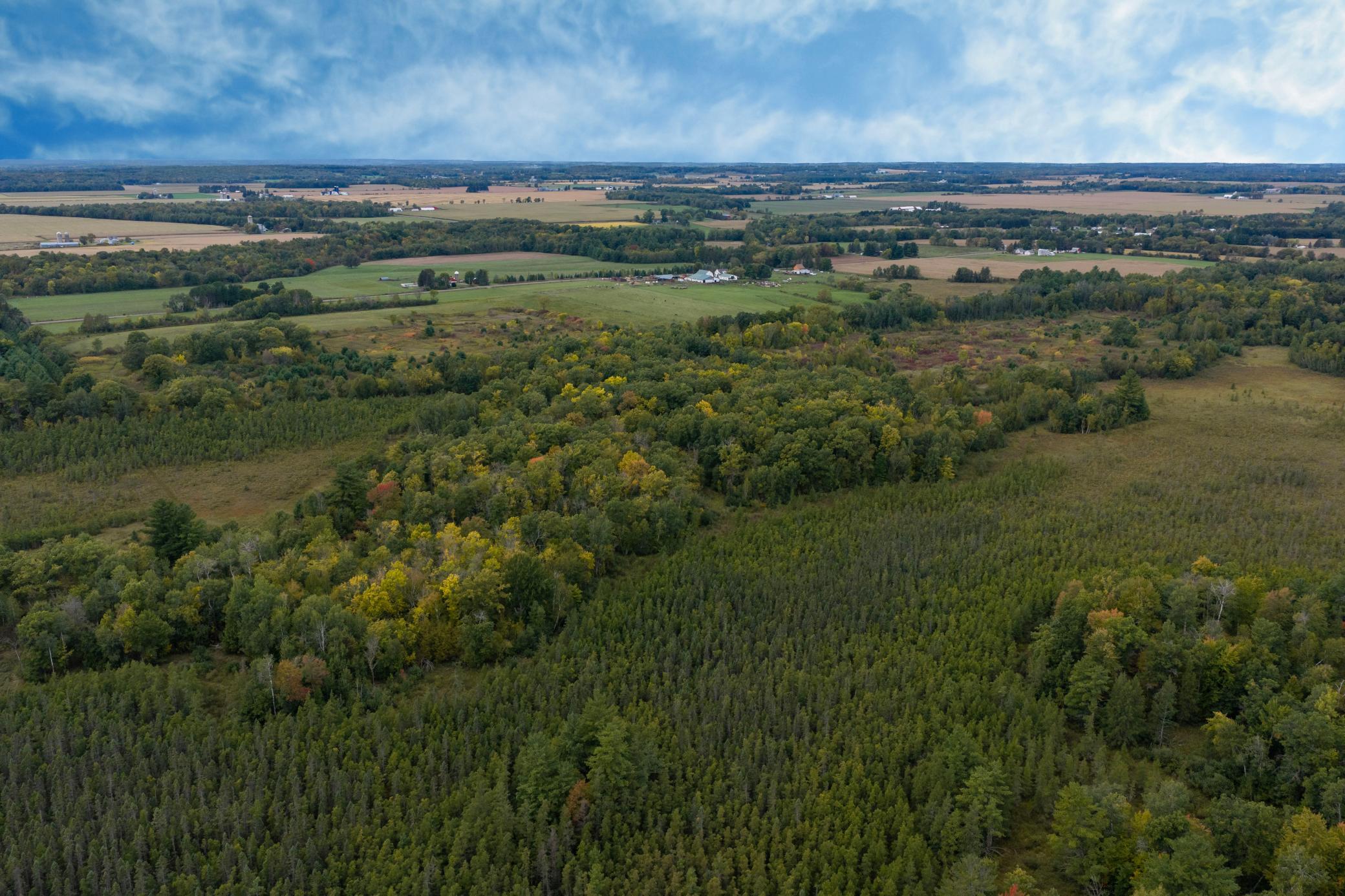 Brill-40-Acres-11.jpg