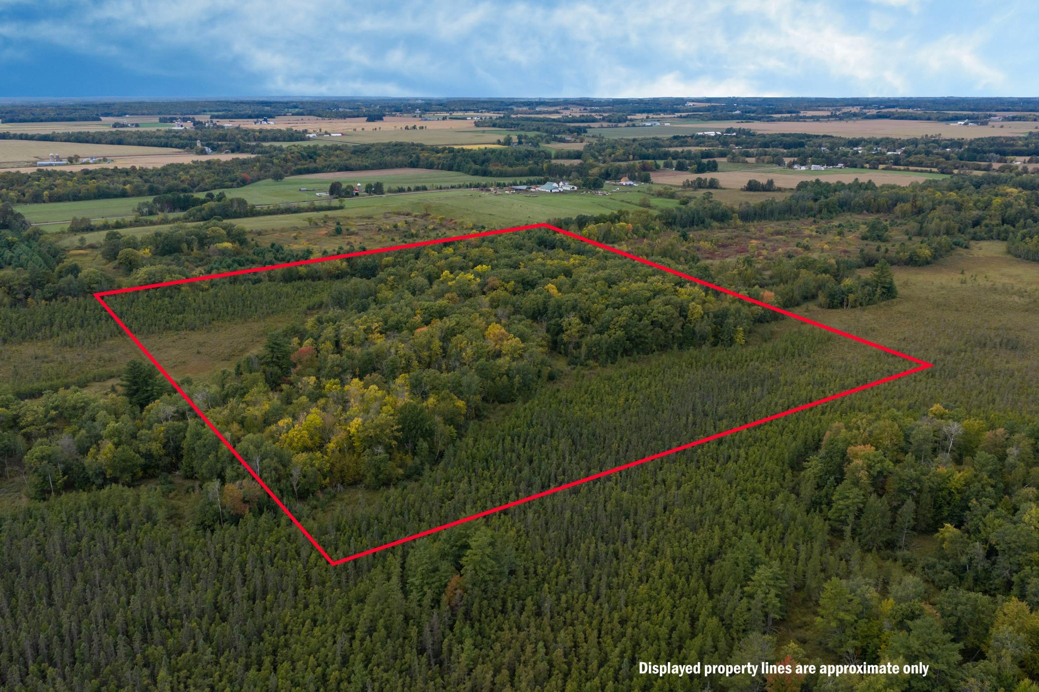 Brill-40-Acres-40.jpg