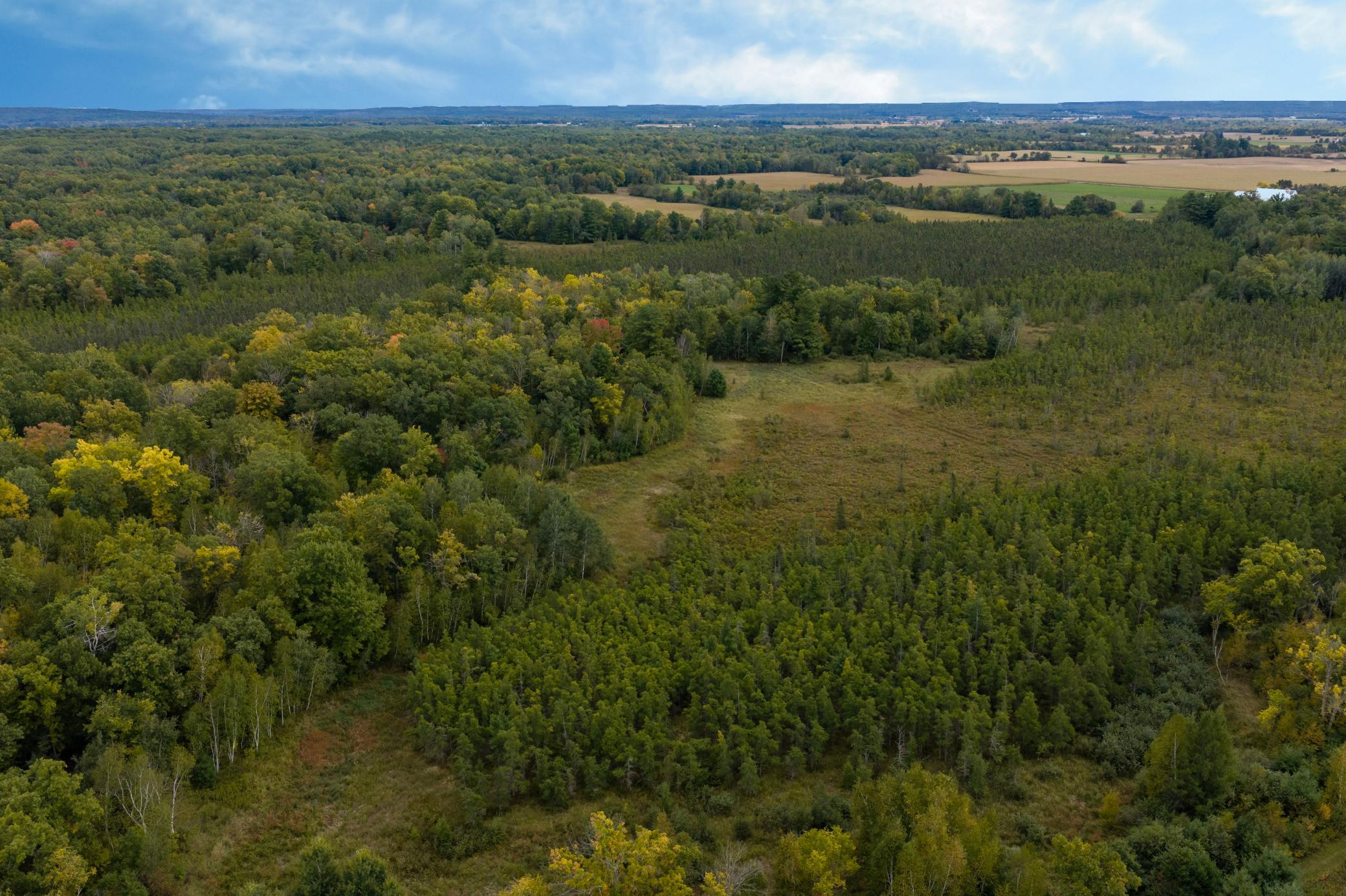 Brill-40-Acres-28.jpg