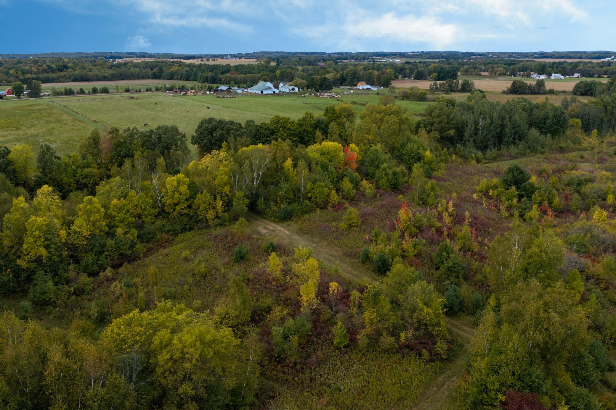 Brill-40-Acres-19.jpg