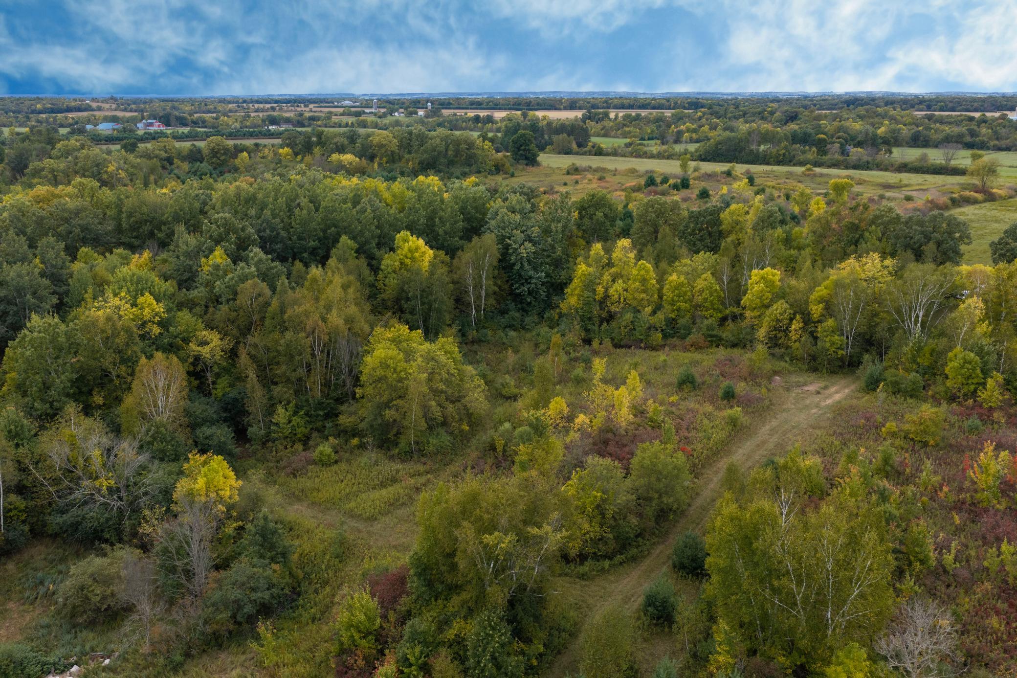 Brill-40-Acres-20.jpg