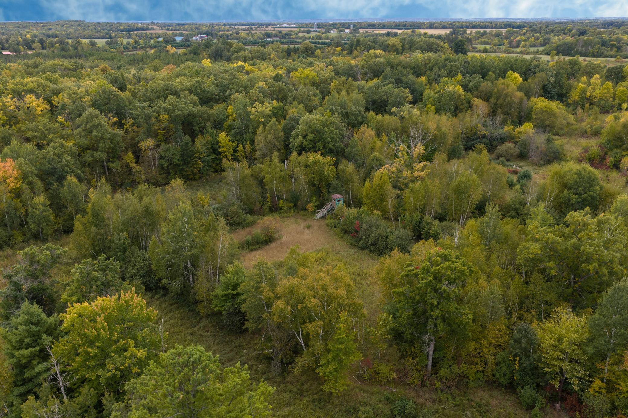 Brill-40-Acres-23.jpg