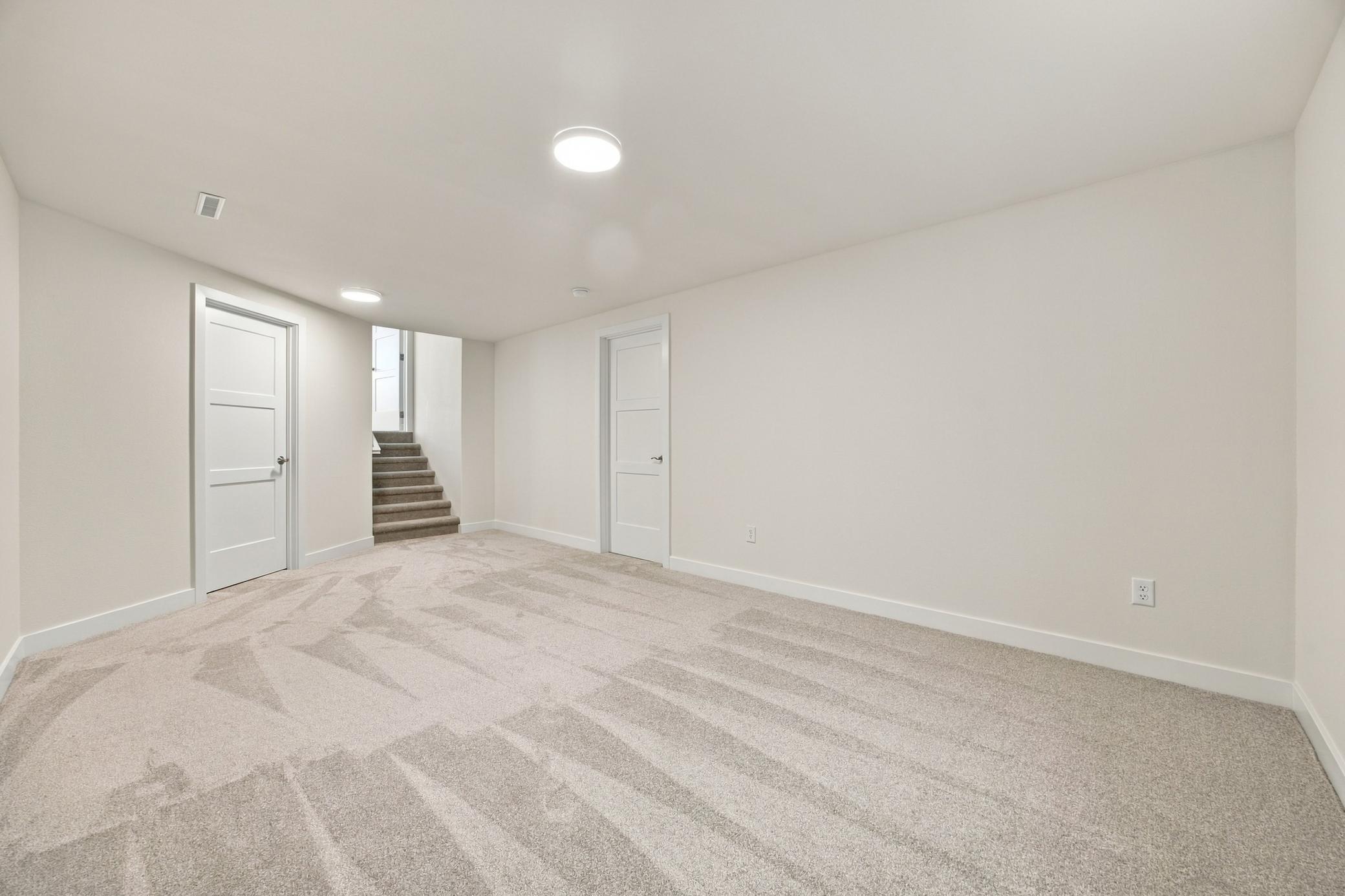 Bonus Room Basement