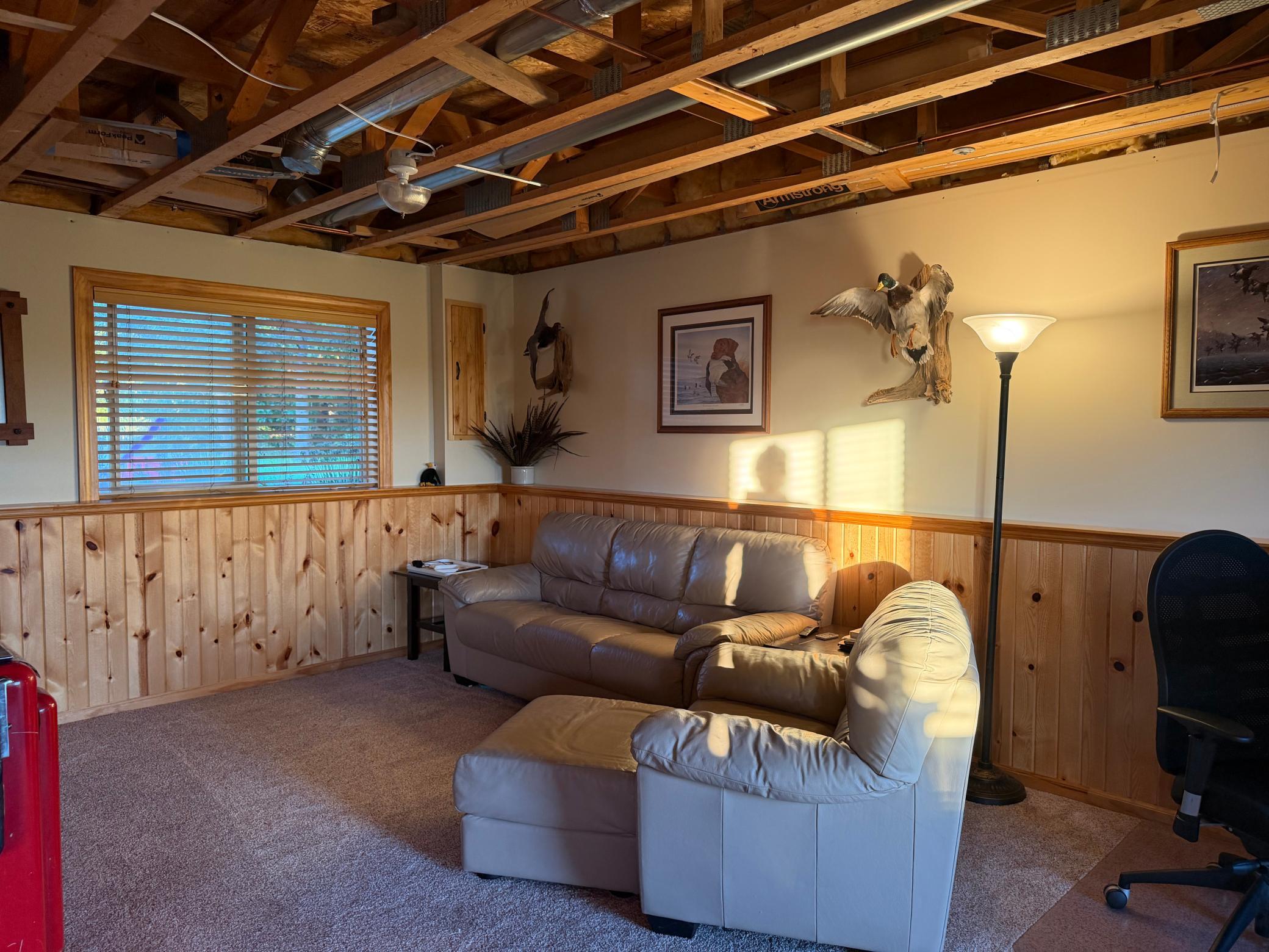 Bright sunlight streaming into the family room
