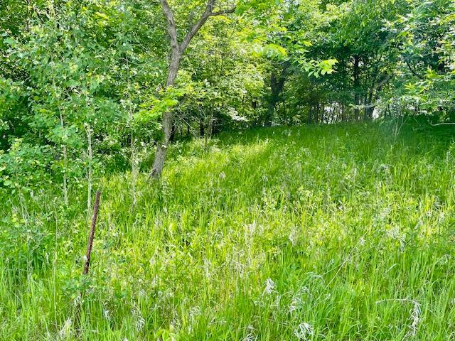 SIDE HILL AREA