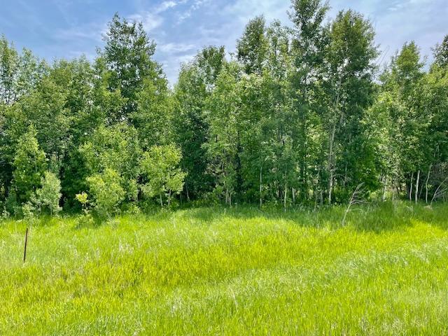 Property photo for T134-R37 SEC.30 / HWY HWY 67, Henning, MN 56551