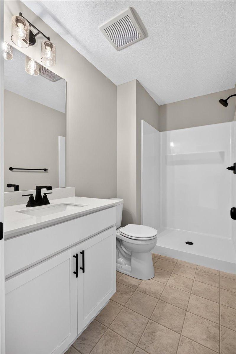 Lower Level Bathroom