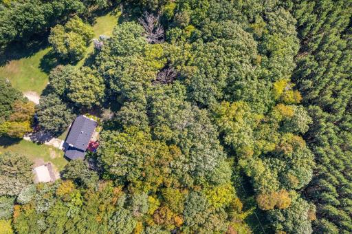 36117 US 71, Eagle Bend, MN 56446