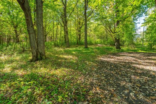 36117 US 71, Eagle Bend, MN 56446