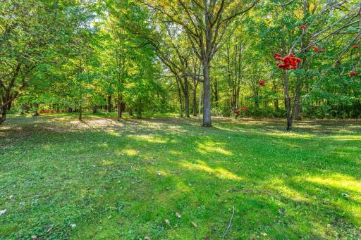 36117 US 71, Eagle Bend, MN 56446