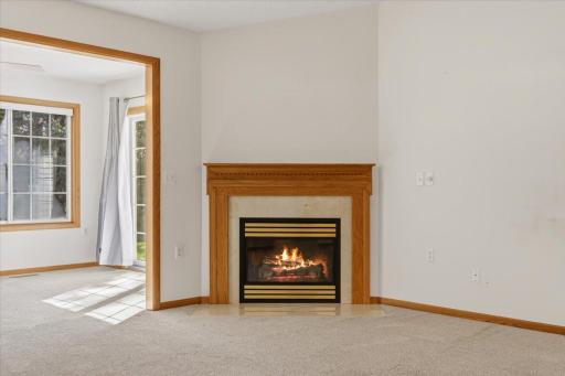7987 Forest Boulevard, Unit F, Woodbury, MN 55125