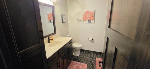 LL full bath with plenty of storage and top notch finishes!