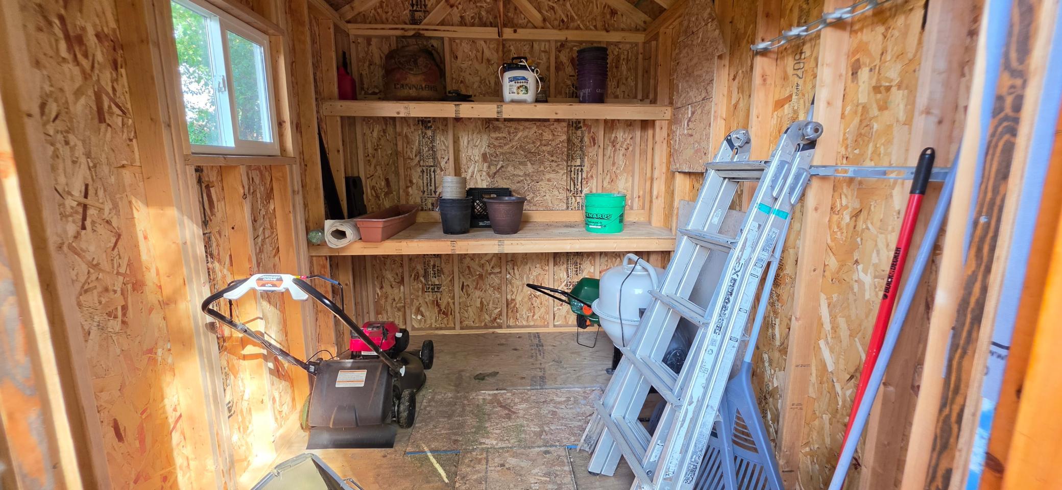Shelves and all! Nice storage area