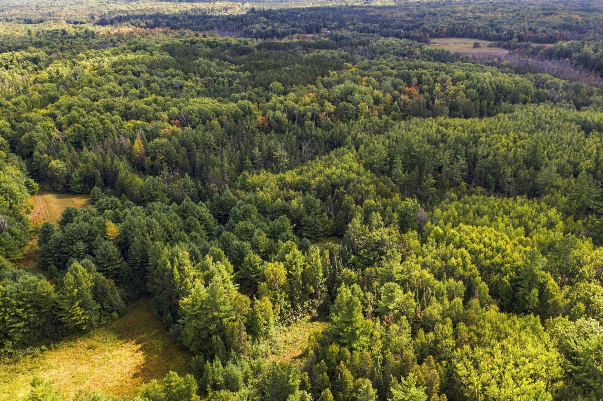 13-print-DJI_0565.jpg