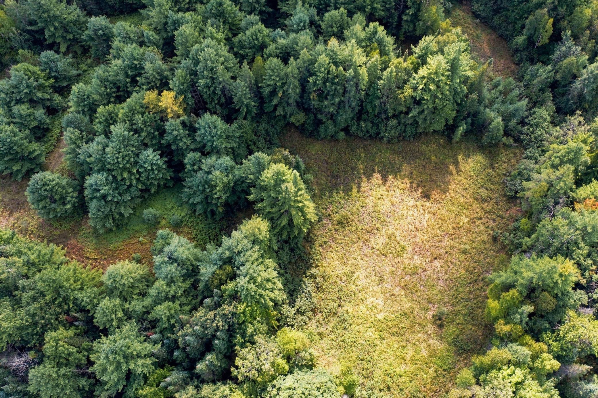12-print-DJI_0562.jpg