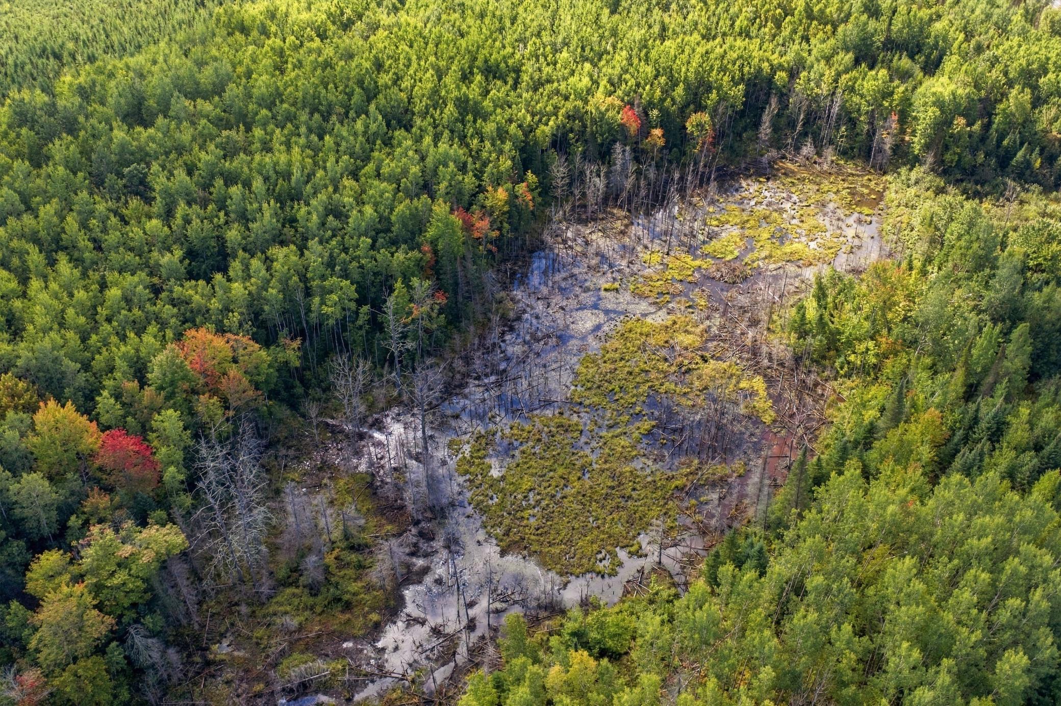 24-print-DJI_0519.jpg