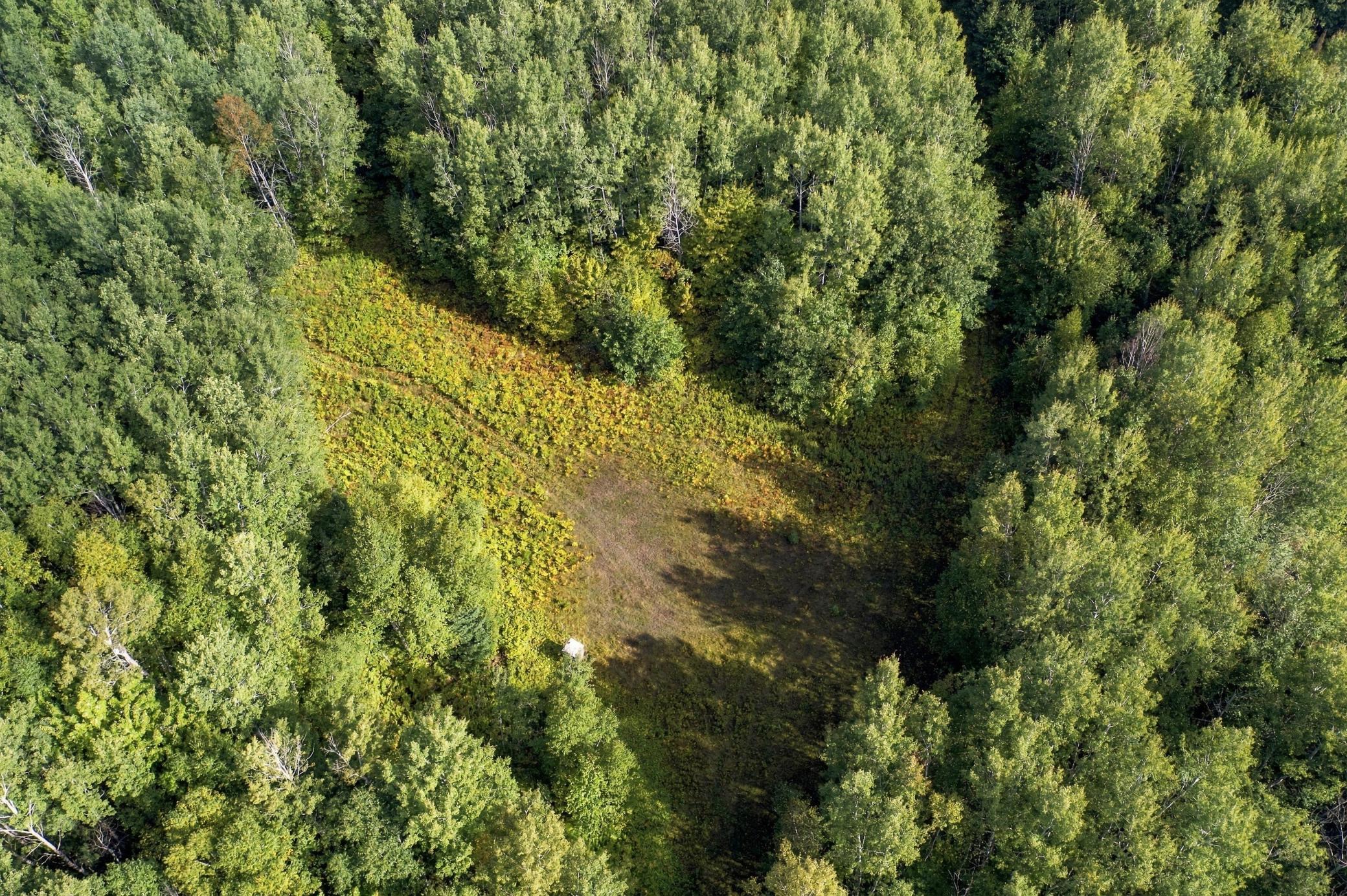 23-print-DJI_0516.jpg