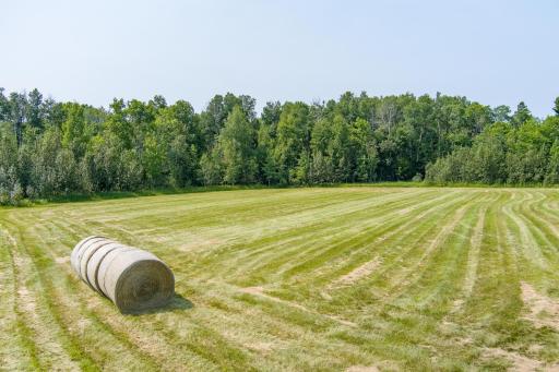 0 TBD COUNTY Highway, Meadowlands, MN 55765