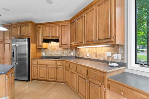 8915 Umbria Place N, Maple Grove, MN 55311