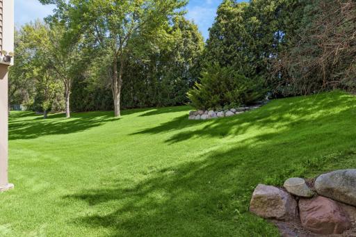 Expansive backyard with vibrant green grass â endless possibilities for outdoor fun.