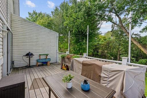 15813 Griffon Path, Apple Valley, MN 55124