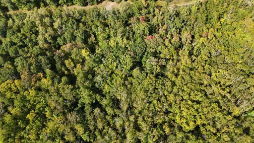 XXX County Road 109, Merrifield, MN 56465