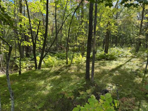 XXX County Road 109, Merrifield, MN 56465