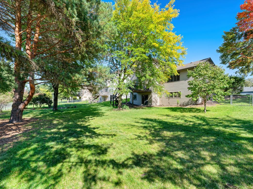 28 - Backyard.jpg