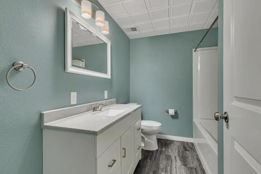 Full Lower level bath