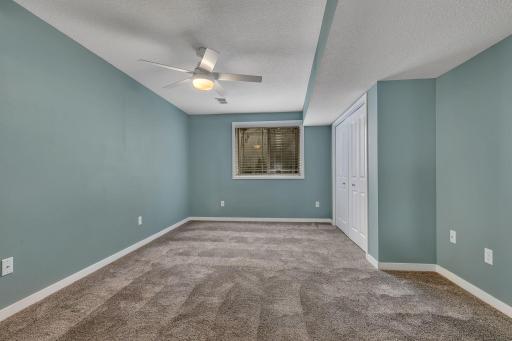Your guests and family will love the lower level bedroom!