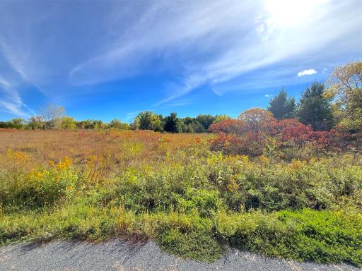 Situate your dream home among the trees and create a private retreat designed around the natural character of the land. Enjoy privacy while staying connected to the lake.