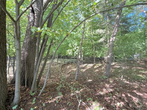 Lot 3 Blk 1 78th Street NW, South Haven, MN 55382