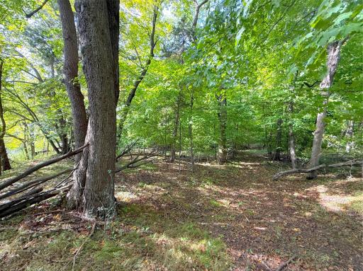 Lot 3 Blk 1 78th Street NW, South Haven, MN 55382