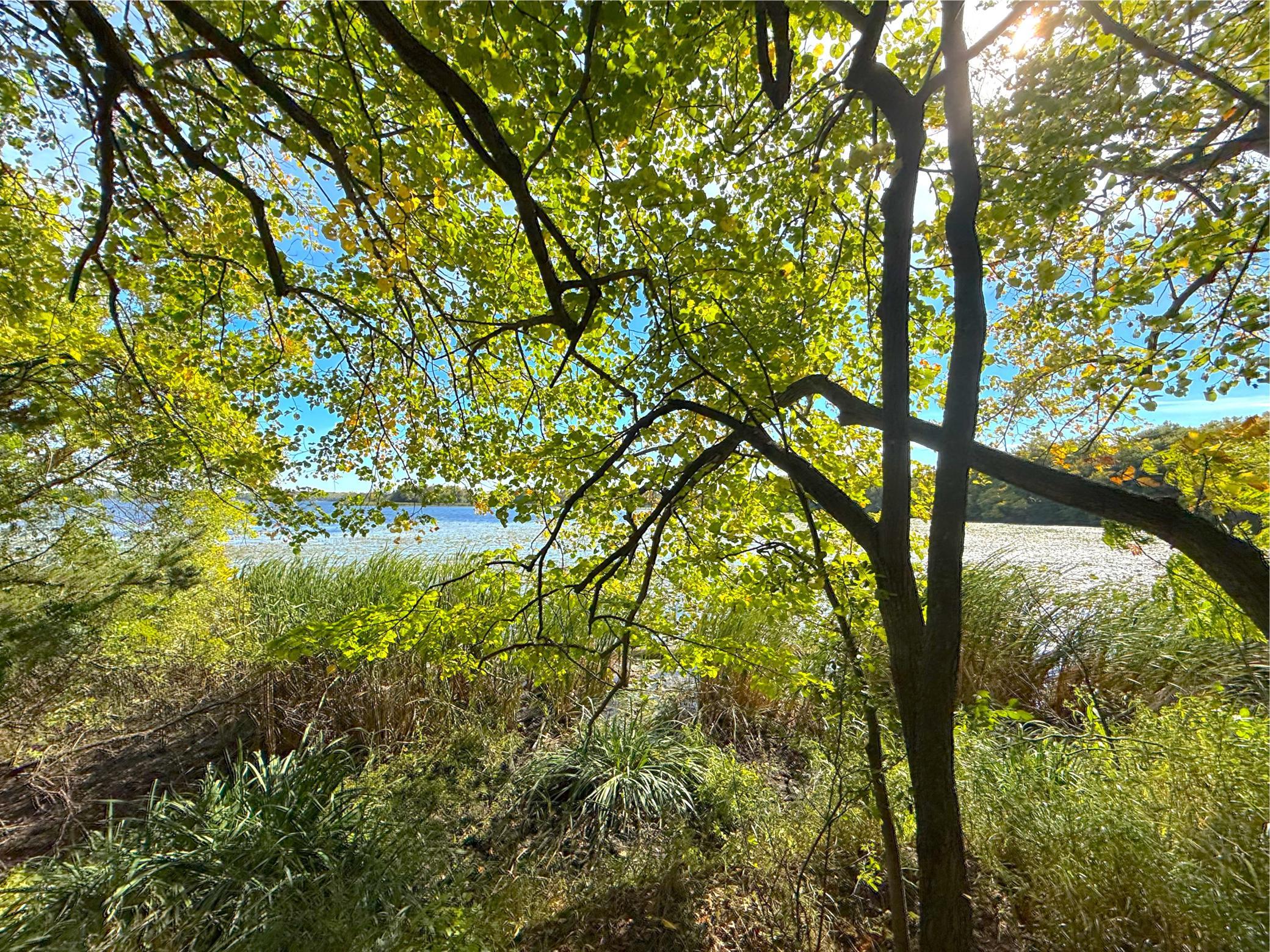 Experience lakeside living at Hannah’s Landing, an upscale lakeshore development surrounded by the natural beauty of one of Annandale’s most pristine lakes.