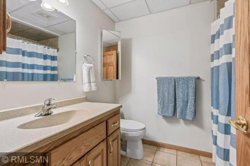 Lower level bathroom