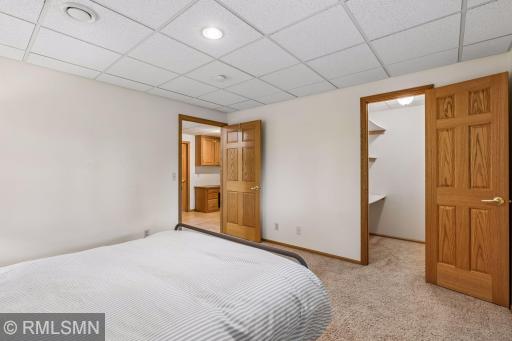 Lower level Bedroom 2 with walk in closet