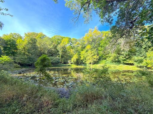 Lot 4 Blk 1 78th Street NW, South Haven, MN 55382