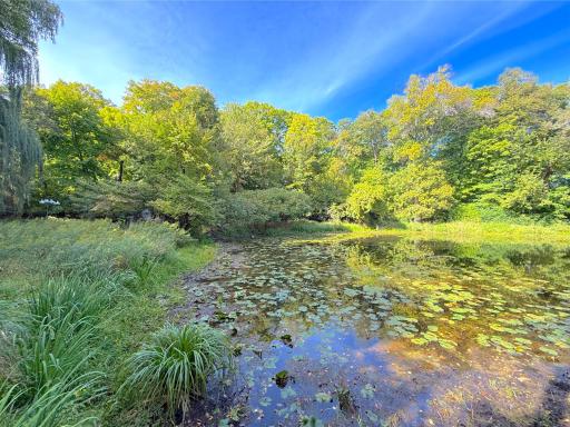Lot 4 Blk 1 78th Street NW, South Haven, MN 55382