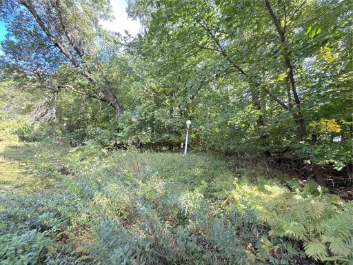 Lot 4 Blk 1 78th Street NW, South Haven, MN 55382