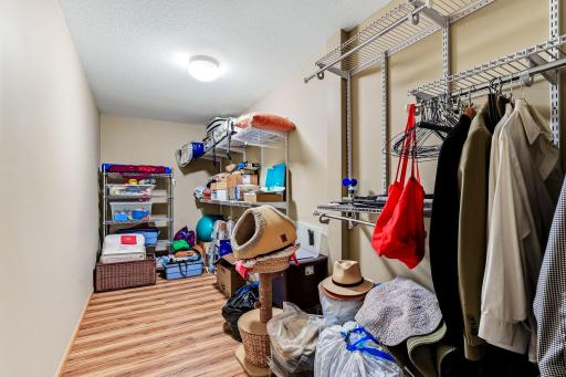 Lower level bedroom has a walk-in closet as well