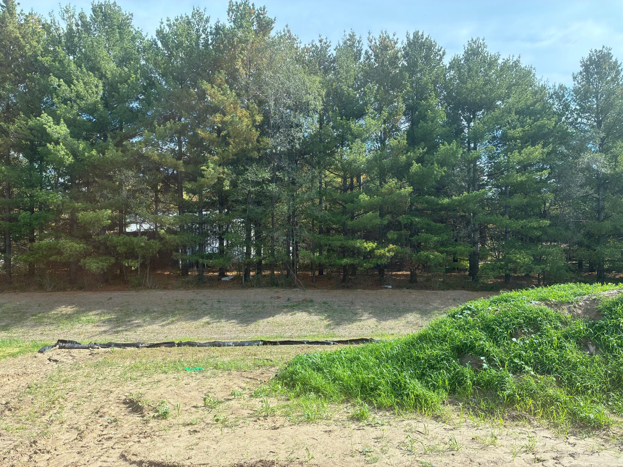 (Photo is of the actual backyard in progress.)