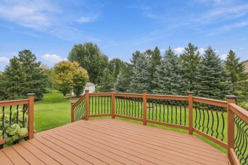 Spacious 14x13 deck overlooking beautiful & private backyard. Up north feel, relax and enjoy.