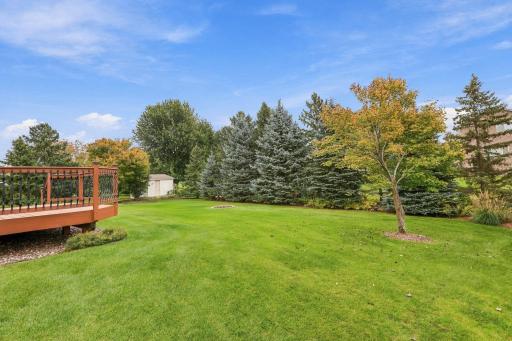 Amazingly private backyard surrounded by mature pine trees, entertain & relax with backyard fire pit.