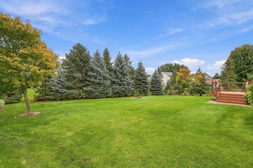 Amazingly private backyard surrounded by mature pine trees, entertain & relax with backyard fire pit.