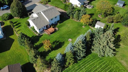 Amazingly private backyard surrounded by mature pine trees, entertain & relax with backyard fire pit. Note storage shed in back corner of property.